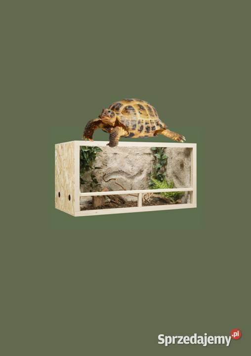 Terrarium z płyty OSB 100x50x50 wielkopolskie