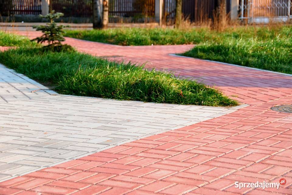 Betonowa kostka prostokątna Świdnica