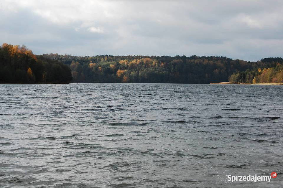 Mazury! Stare Juchy grunty z WZ okolicach jeziora lasu.