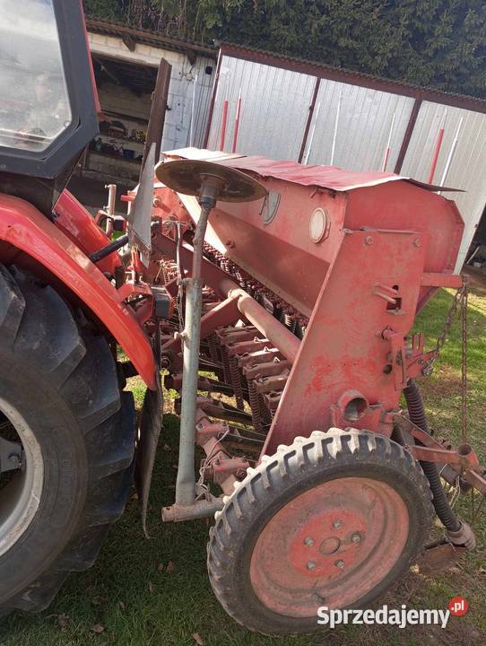 Siewnik poznaniak Hrubieszów