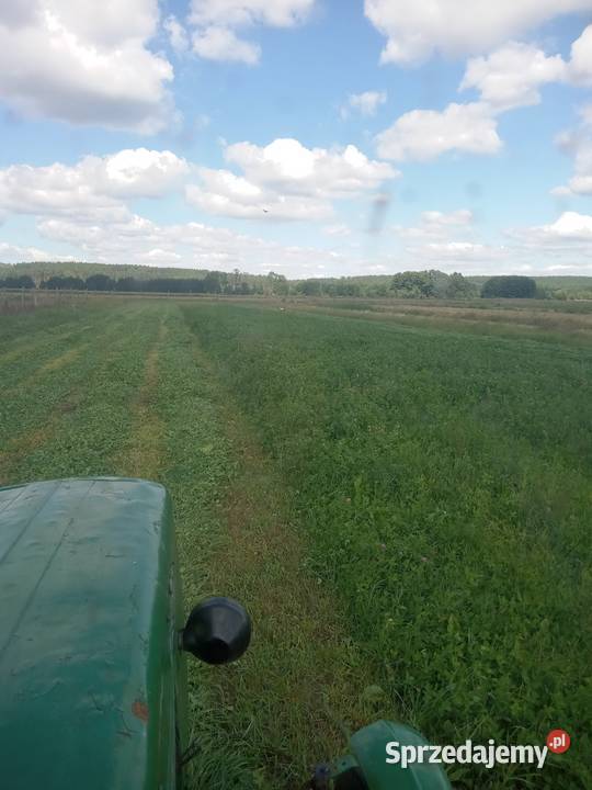 Brony polowe zębatki 3