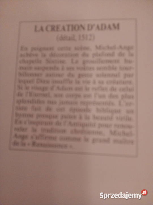 Żebro Adamastworzenie Adama