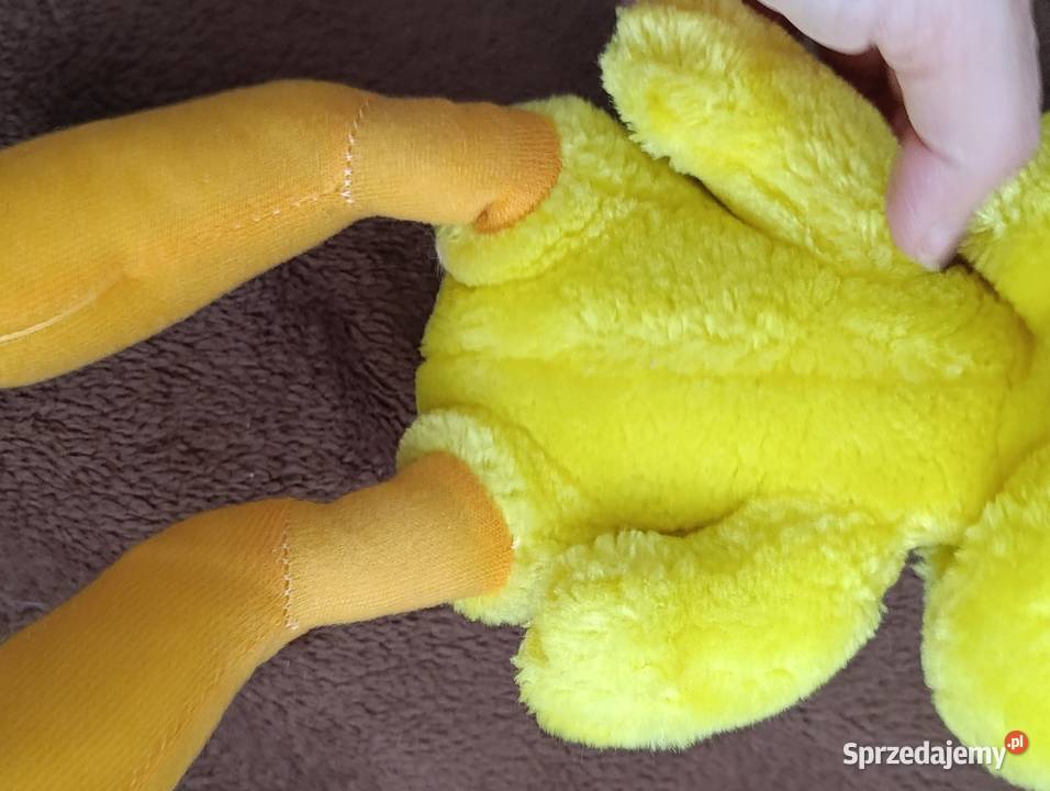 tweety ptaszek pluszak maskotka Poznań