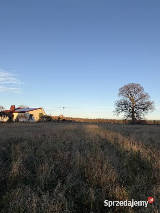 działka budowlana Zdzierczyzna gmina Sokolniki