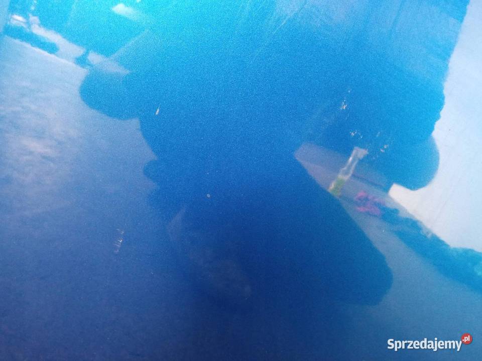 DRZWI LEWE PRZÓD NIEBIESKIE Skoda Fabia III 2014 osobowe