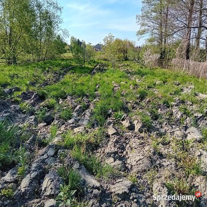 usługi mazowieckie Radom