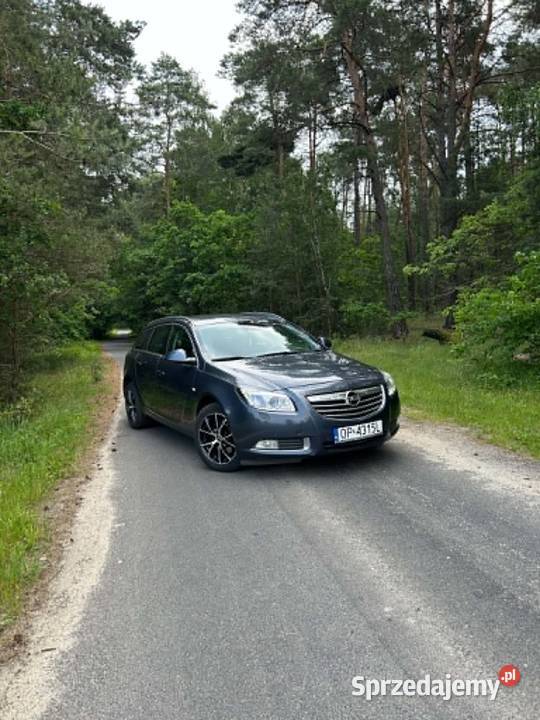 Opel Insignia Górki Duże