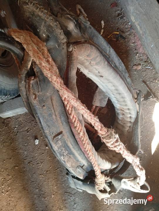 Homont na konia Krasnystaw sprzedam