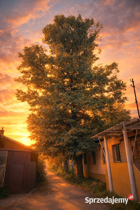 GRUNT INWESTYCYJNY DĄBROWA GÓRNICZA AL J Dąbrowa Górnicza