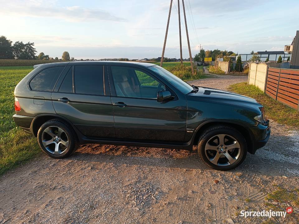 Bmw X5 e53 Piękna 2999cm3 wielkopolskie Lamki