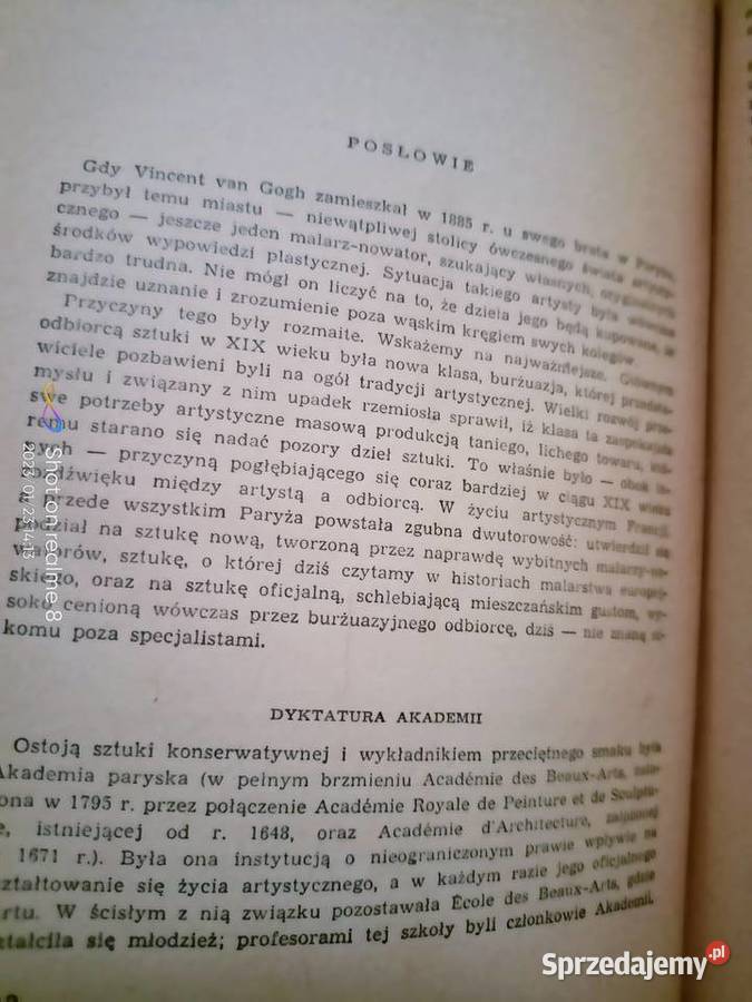 Pasja życia Stone biografia malarza Van Gogh sprzedam