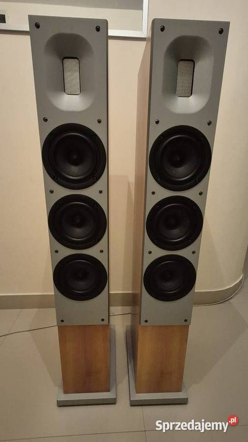 Kolumny podłogowe Raidho Emilies2 Pozostałe Lublin sprzedam