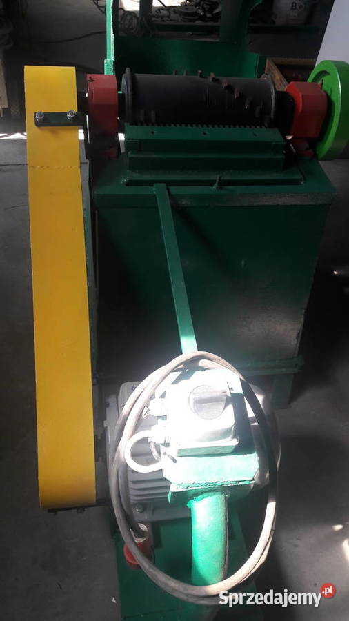 Kościarka wilk Pozostałe Radzewo sprzedam