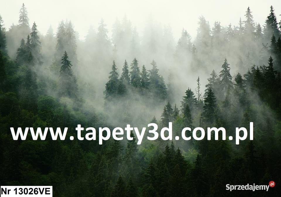 Tapeta fototapeta Bambusowy las 12632VE Leszno