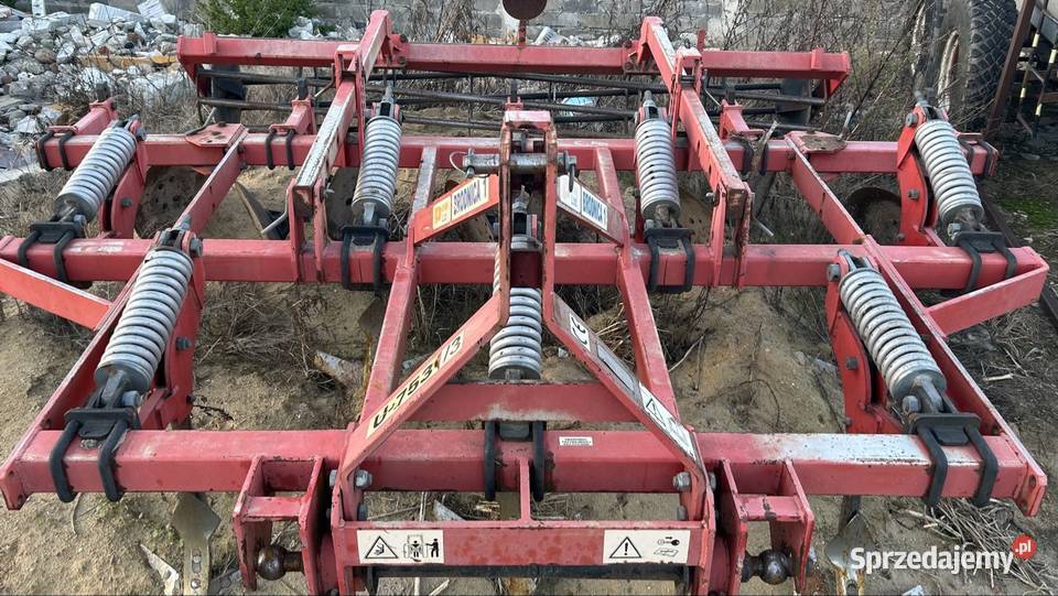 Gruber wielkopolskie Września