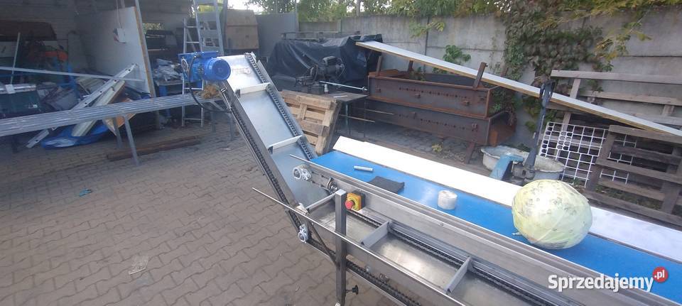 Taśmociąg do kapusty z przenośnikiem do odbioru Taśmociągi i podajniki Rumiejki