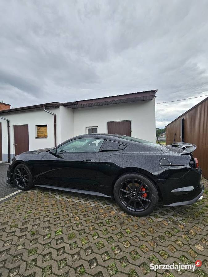 Ford Mustang VI 2019 23 EcoBoost Mustang Zwoleń
