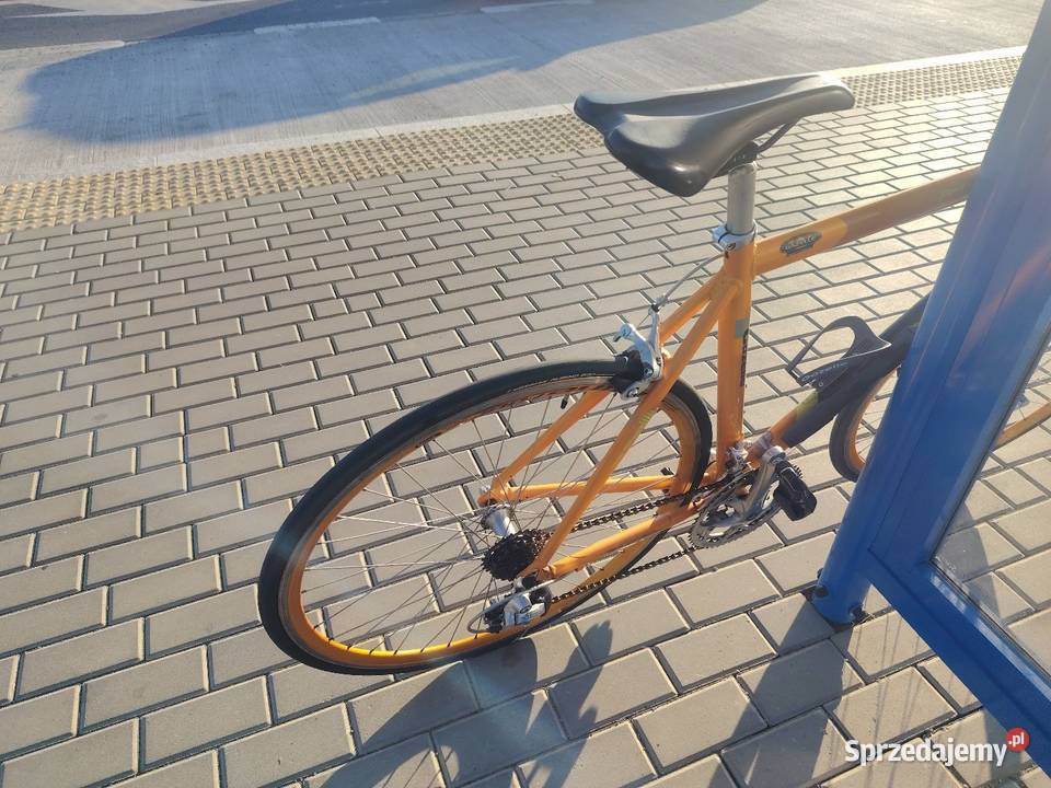 Rower szosowy Gazelle Primavera 58 Shimano Sora Brzozów sprzedam