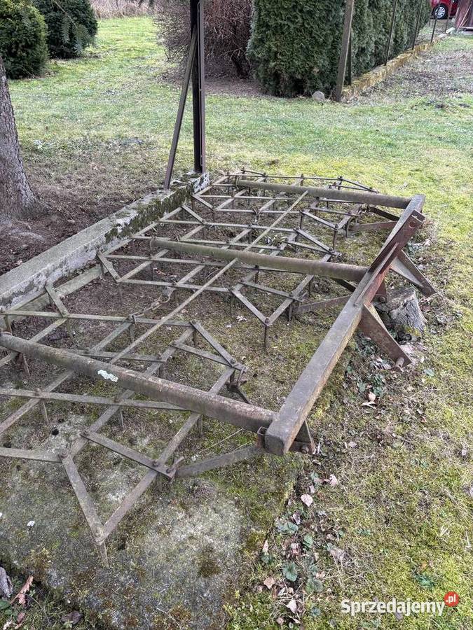 Brony zębowe Palikówka