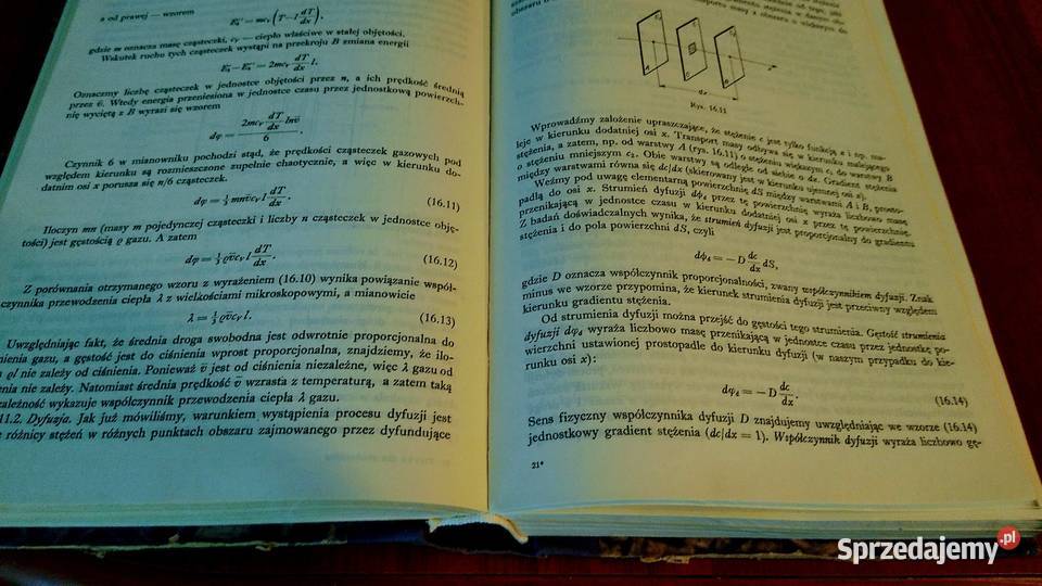 Fizyka podręcznik studentów wyższych Gdańsk