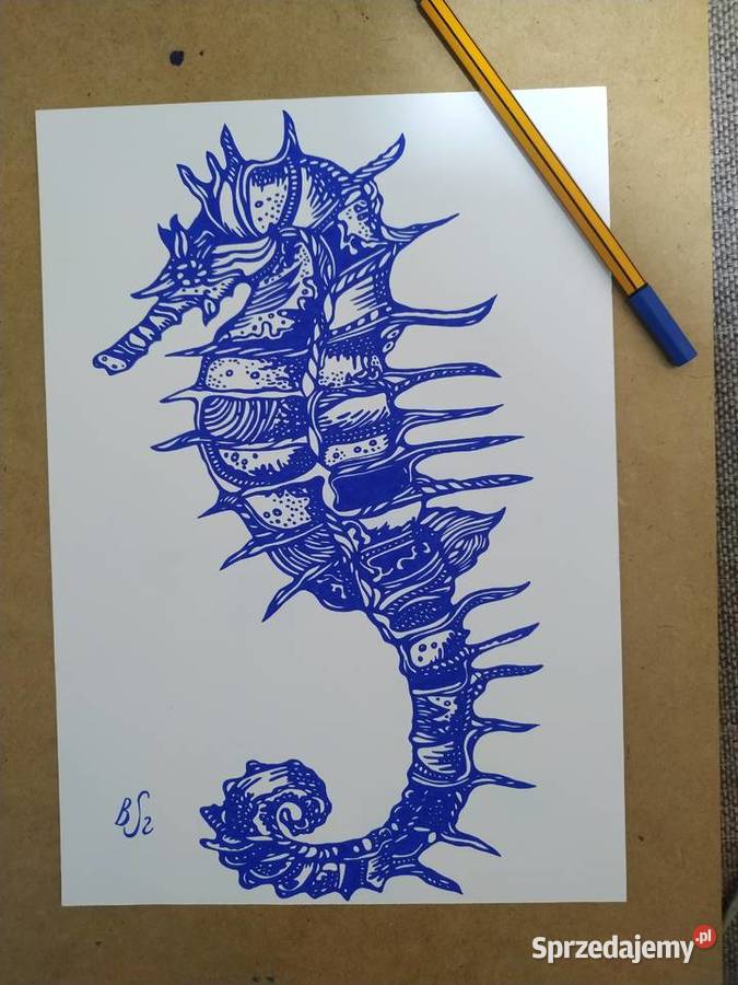 Rysunek konik morski 2 cienkopis blok t A4 250 Warszawa
