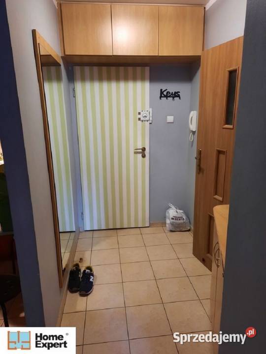 2pok 44met Placu Macieja PLOMBAWINDA Wrocław dolnośląskie