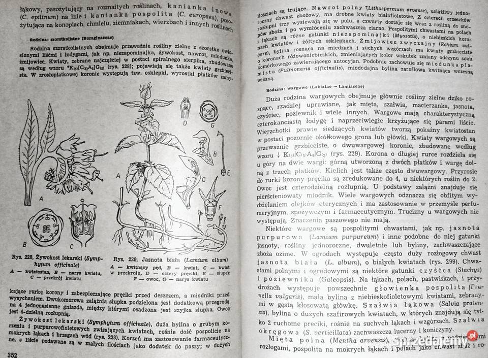 Botanika studentów zaocznych akademii rolniczych lubelskie Chełm