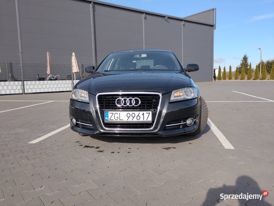 Audi a3 B8 2012 16 TDI 5drzwi stan A3 zachodniopomorskie Goleniów sprzedam