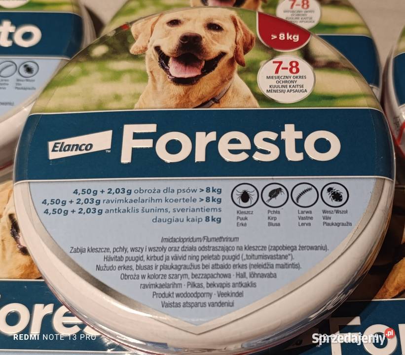 Obroża psów Otwock