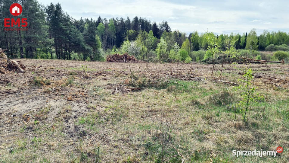 sprzedaży działki Ciasne 2984m 214zł/m2