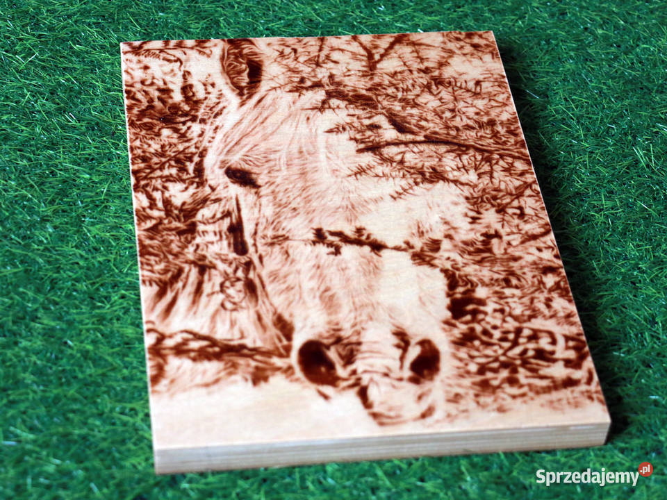 Głowa konia Grafika wypalona w drewnie Jasienica Rosielna