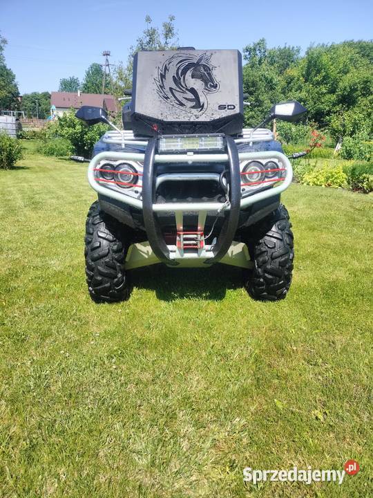 Kawasaki Brute Force 759 Sienica