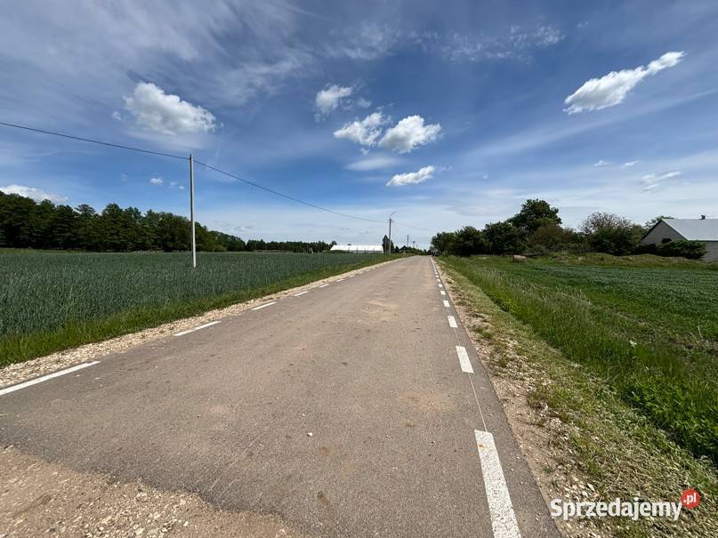 Ziemia rolna 481 ha z siedliskiem Stara Pecyna 1 mazowieckie
