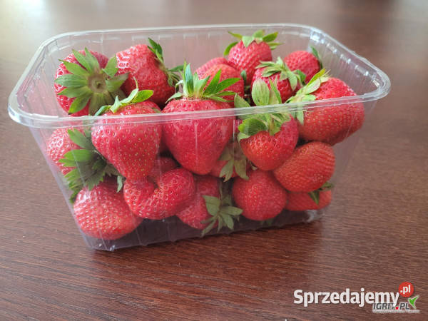 POJEMNIK OPAKOWANIE 250G NA MALINĘ BORÓWKĘ sprzedam