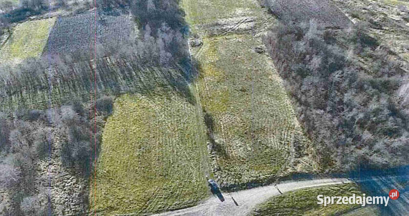 Syndyk sprzeda Udział w Nieruchomościach w 0zł/m2 podkarpackie sprzedam