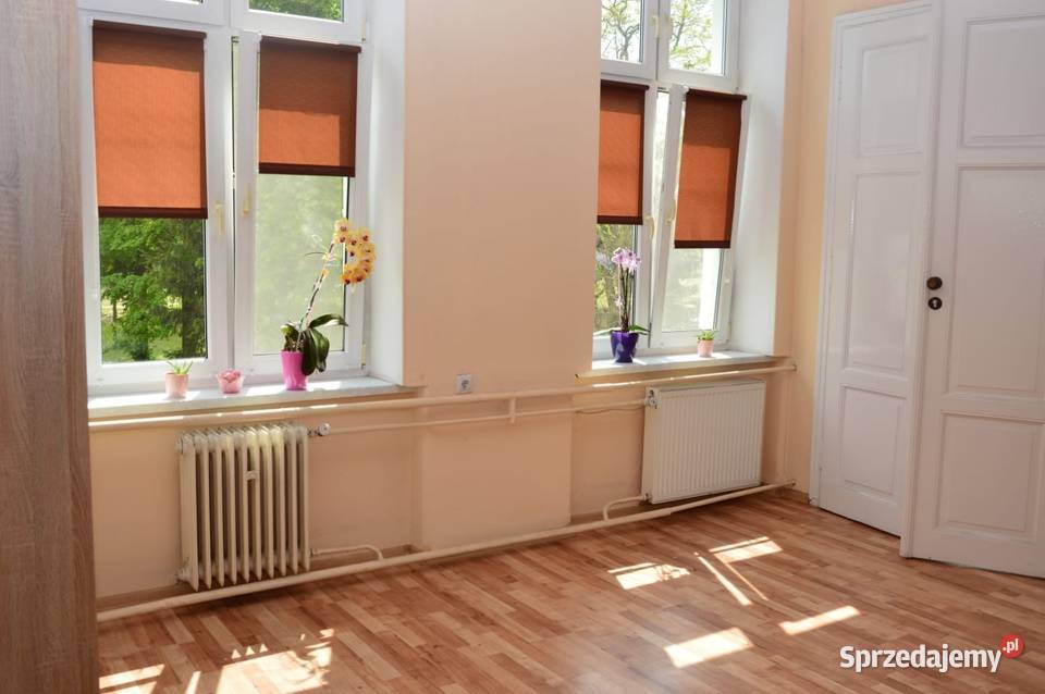 Sprzedam mieszkanie 65 m2 Sprzedaż Strzelin