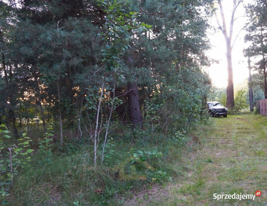 Działka letniskowa w pobliżu Narwi Sprzedaż mazowieckie Ostrykół Dworski