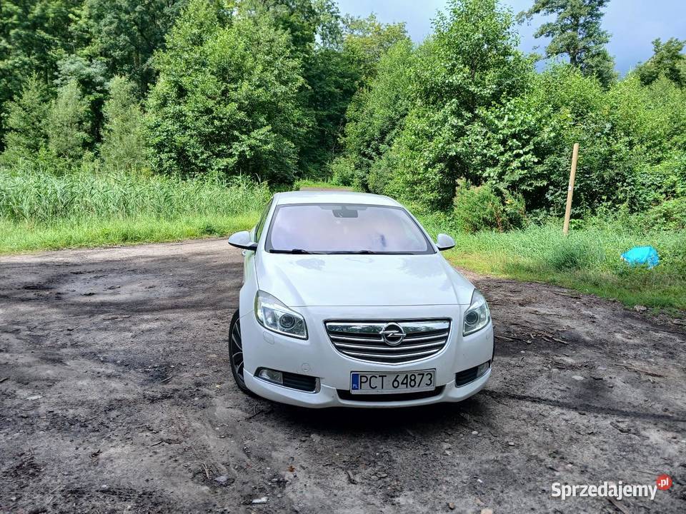 opel insignia Czarnków
