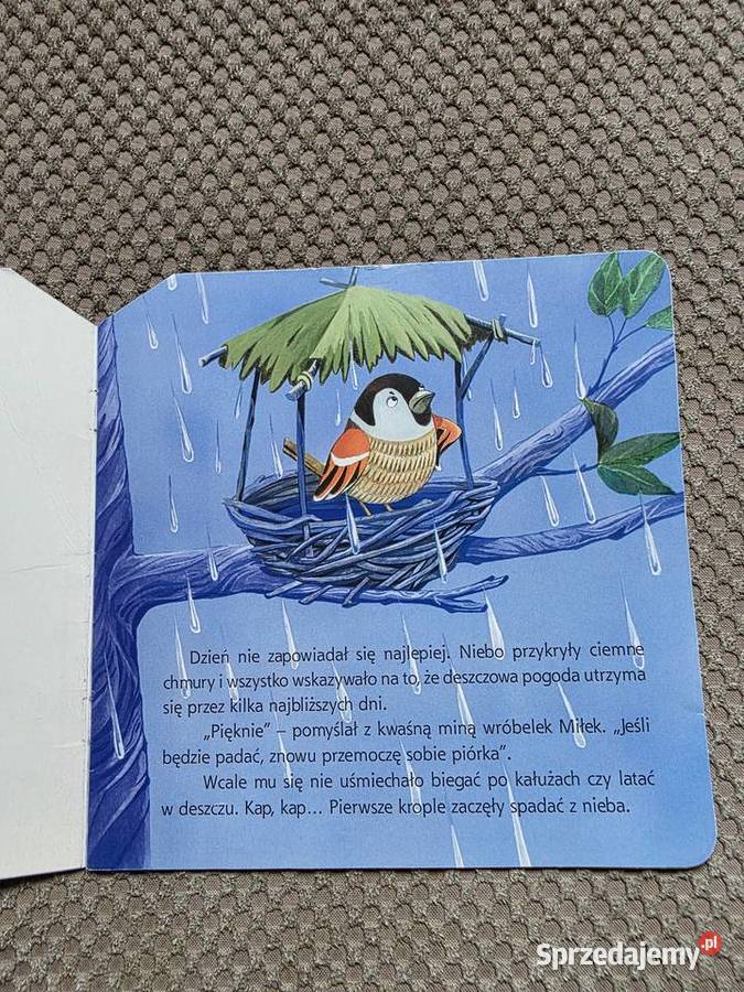 Leśny samochodzik Bogusław Michalec Kraków