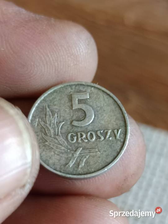 Sprzedam monete 5 groszy 1963 bbnm Chełm sprzedam