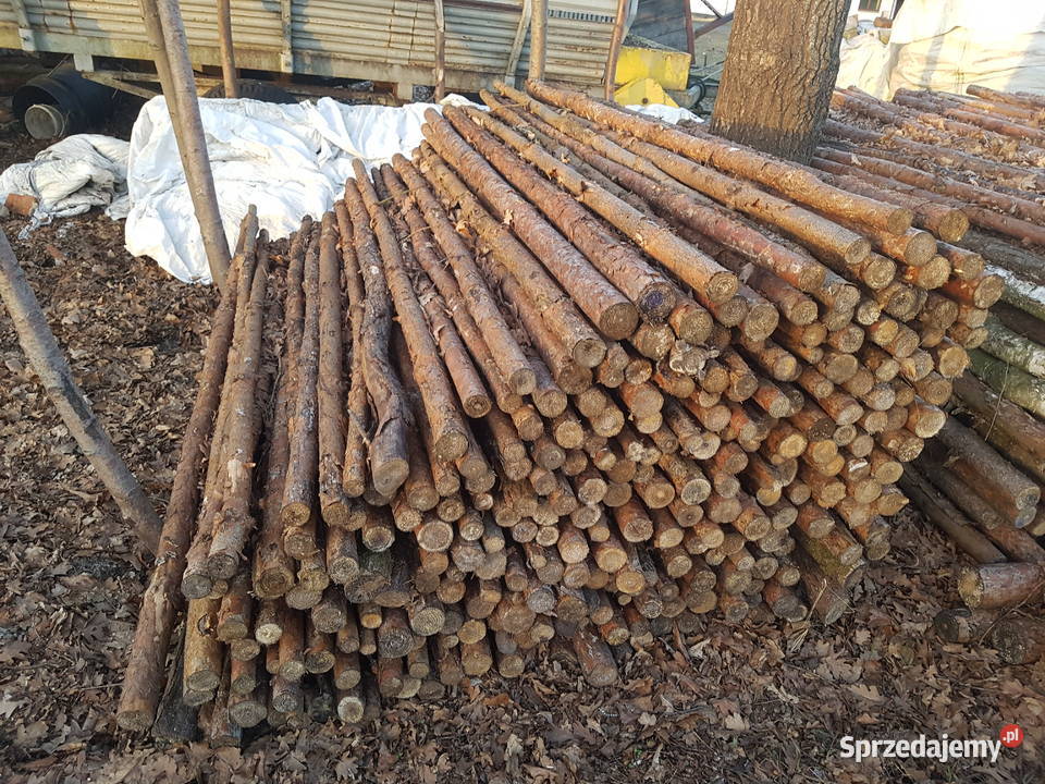 Stemple budowlane 240m 320m 4m i Opał Brzoza Milicz