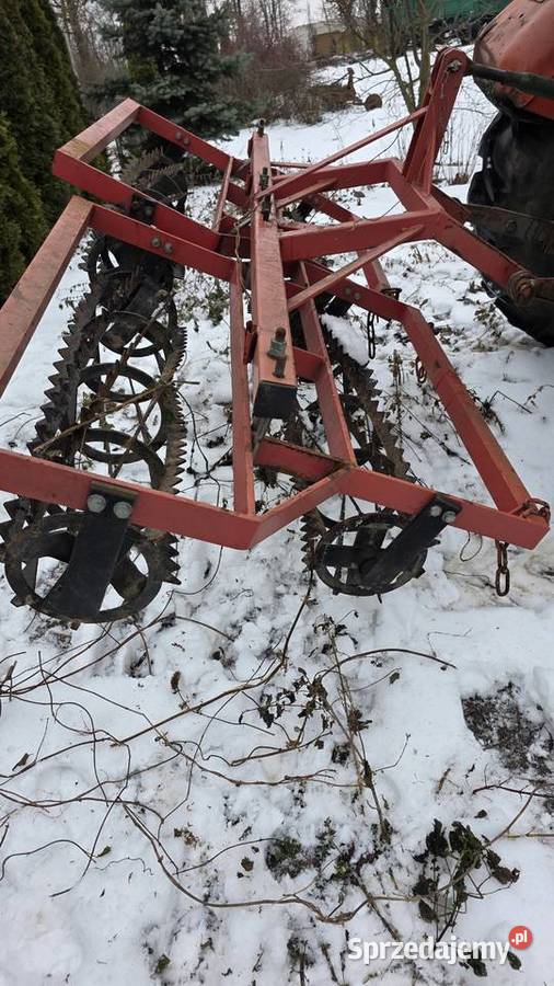 Walki strunowe Branice