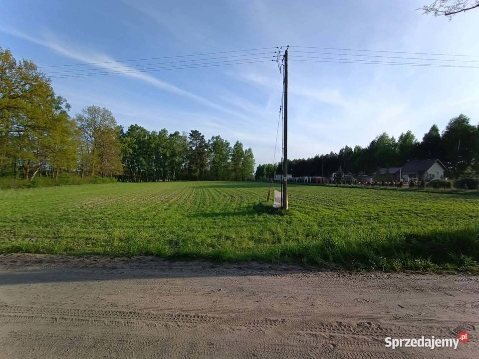 Urokliwa działka 3000 m z bezterminowymi WZ Brudnów Drugi
