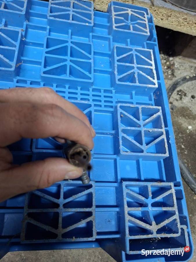 Kranik Wsk Sport Lelek Dudek Bąk Koszalin