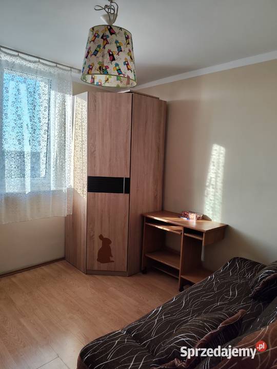Wynajmę 1 pokój dla Pani