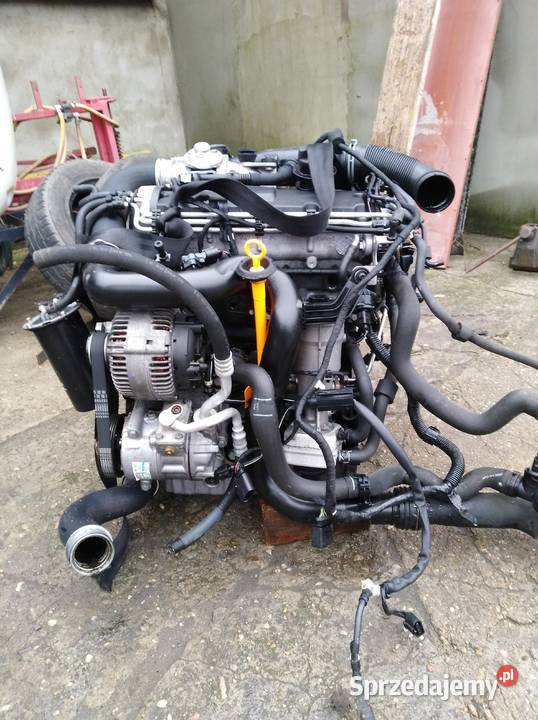 Silnik 19 tdi BKC BXE Touran Caddy Passat b6 wielkopolskie Pakosław