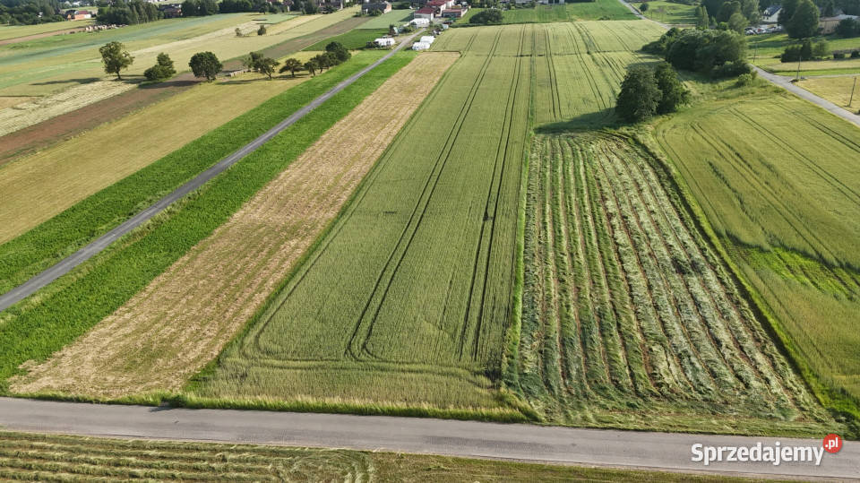 Działka rolna 8 512 m 851200m2 Żelisławice sprzedam