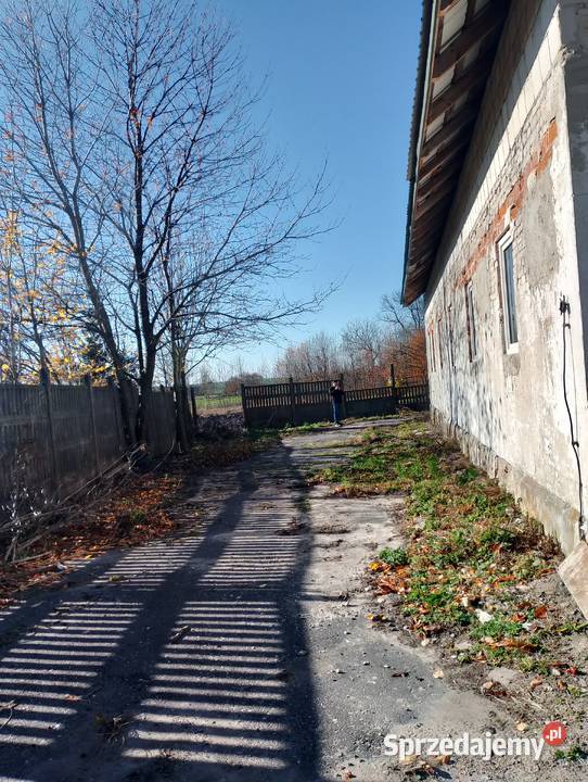 Działka z budynkiem gospodarczym Sprzedaż Tomaszów Lubelski