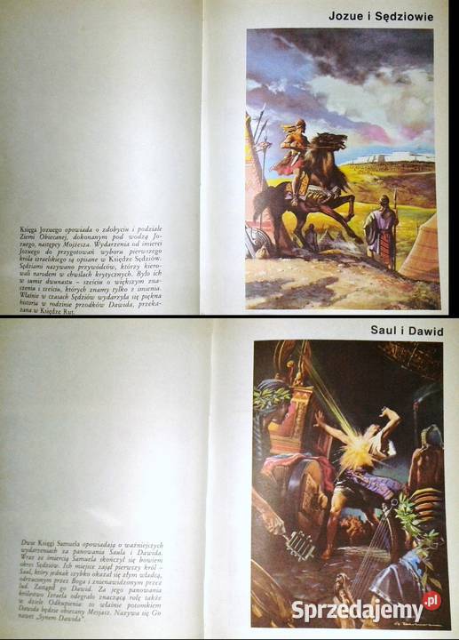 Biblia święta Historia wciąż żywa Attilio Monge Chełm