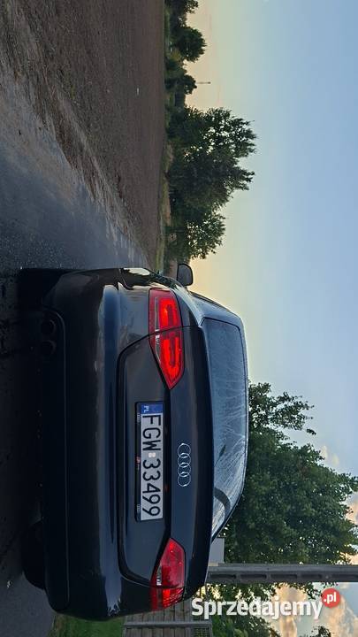 Audi A4 B8 Ściechów